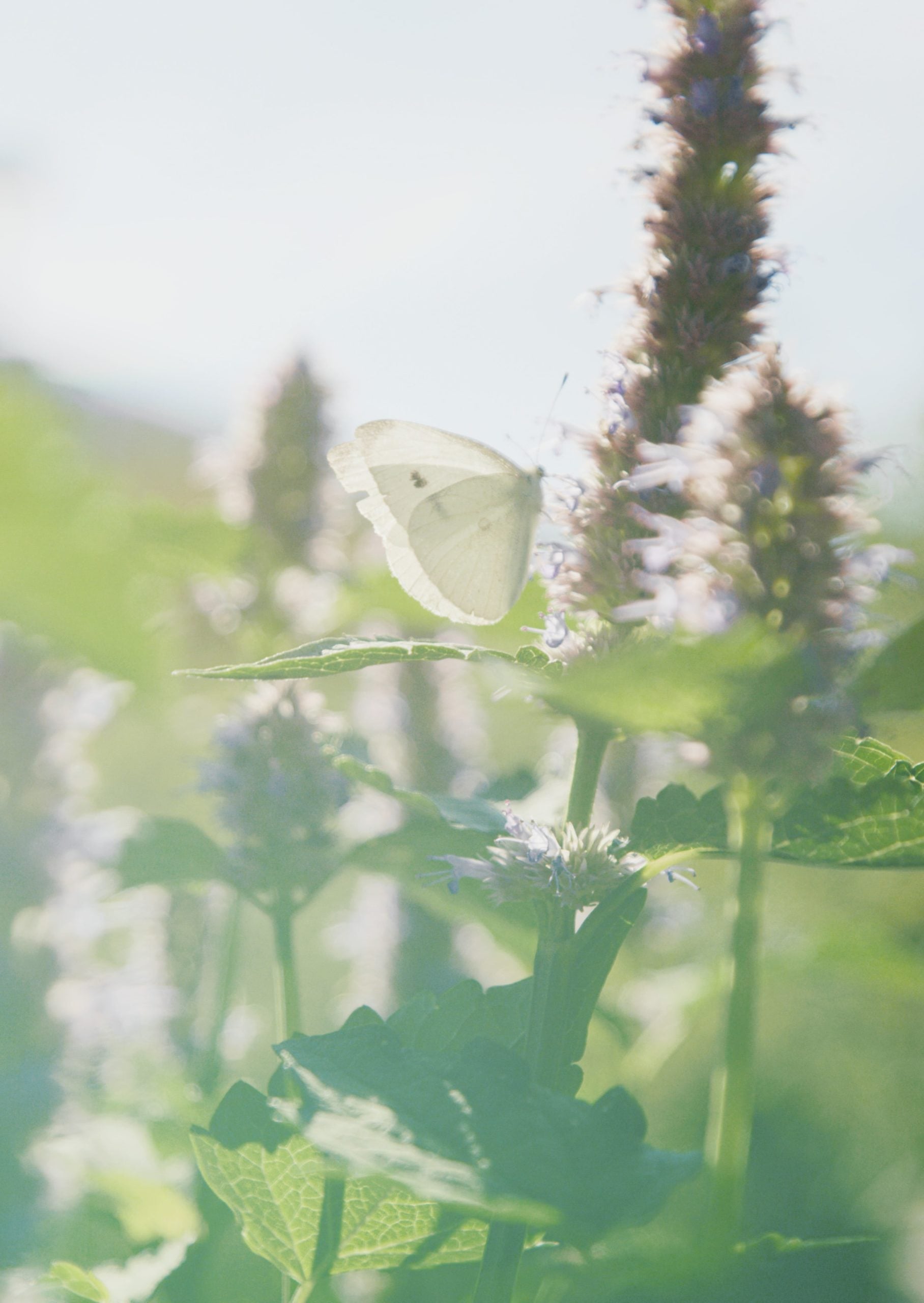 Vattenfall YouTube Kanal - svg+xml;charset=utf svg+xml;charset=utf